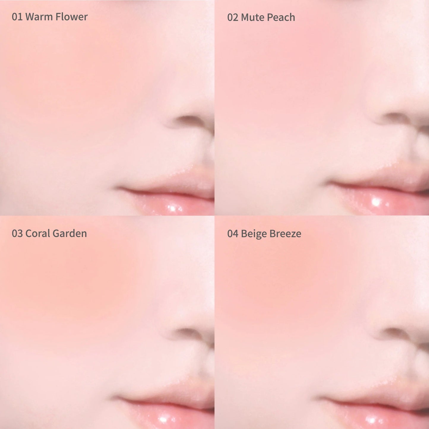 【現貨】Dasique四色胭脂盤 #12 Golden Flower