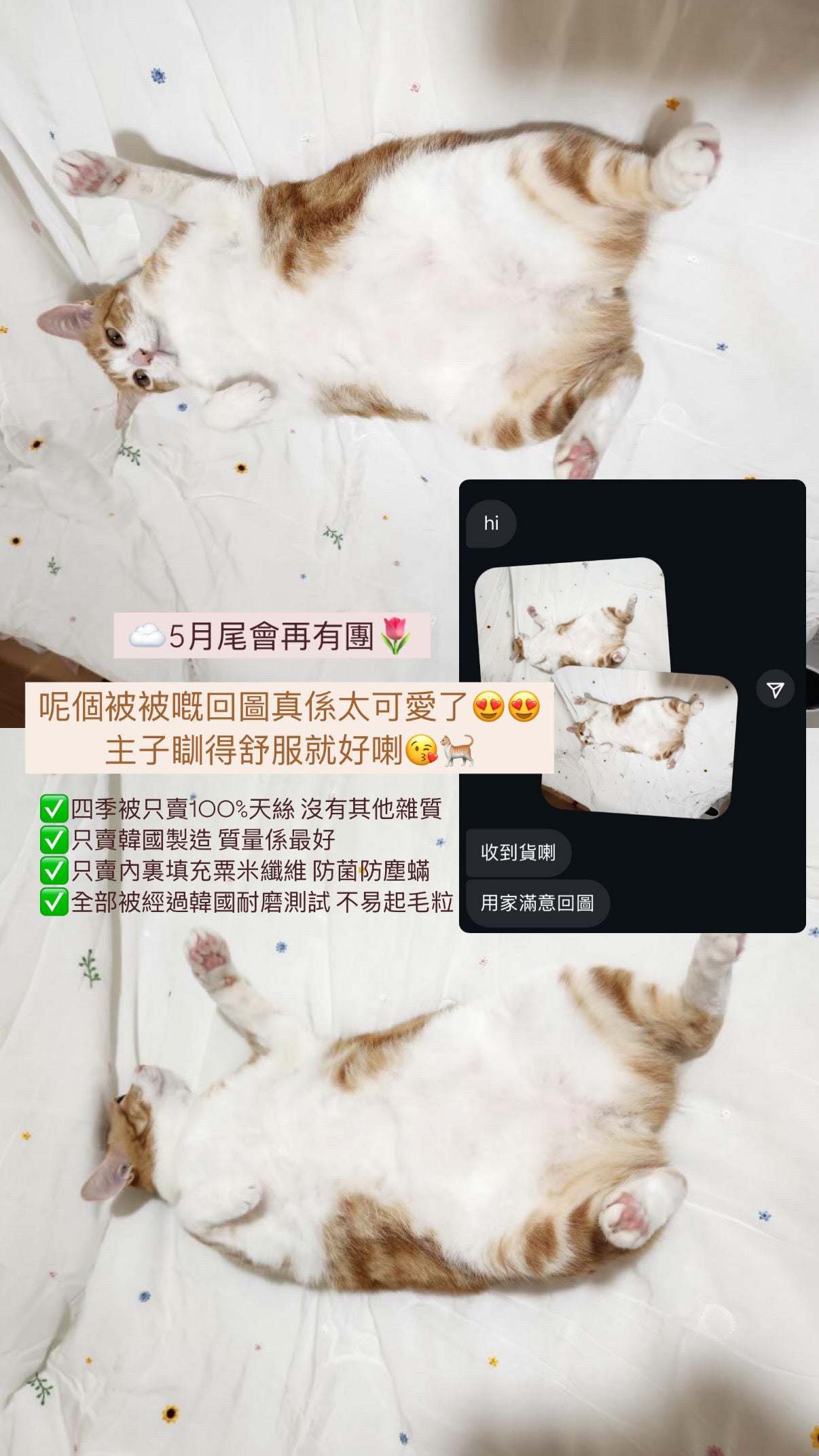 【韓國製四季被】可愛小動物薄被🐿️ 100%天絲