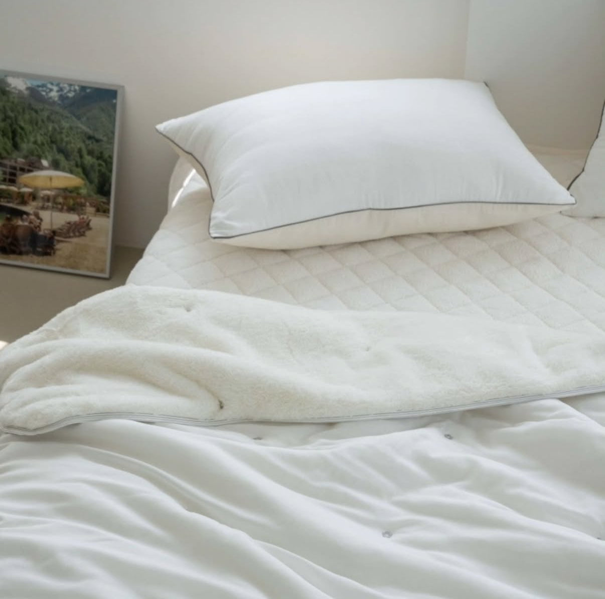 【韓國製冬被】 刺繡小花冬被 正面100%天絲｜反面 兔毛